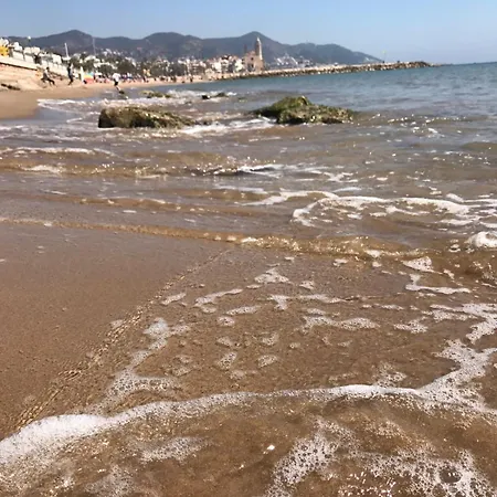 Cim 올리벨라